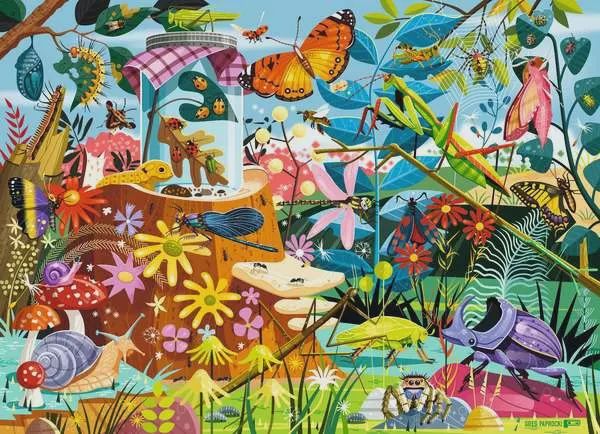 C.T. - Le Monde des insectes (60 mcx)