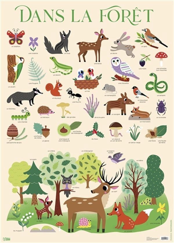 Affiche / Dans La Foret