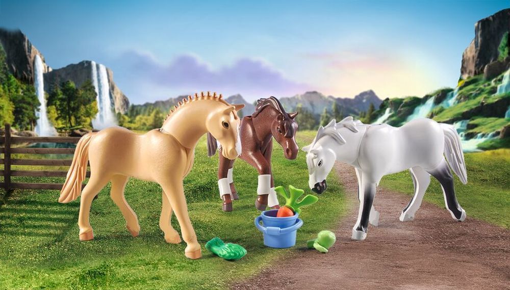 71356 / 3 chevaux - Morgan, Quarter horse et Shagya