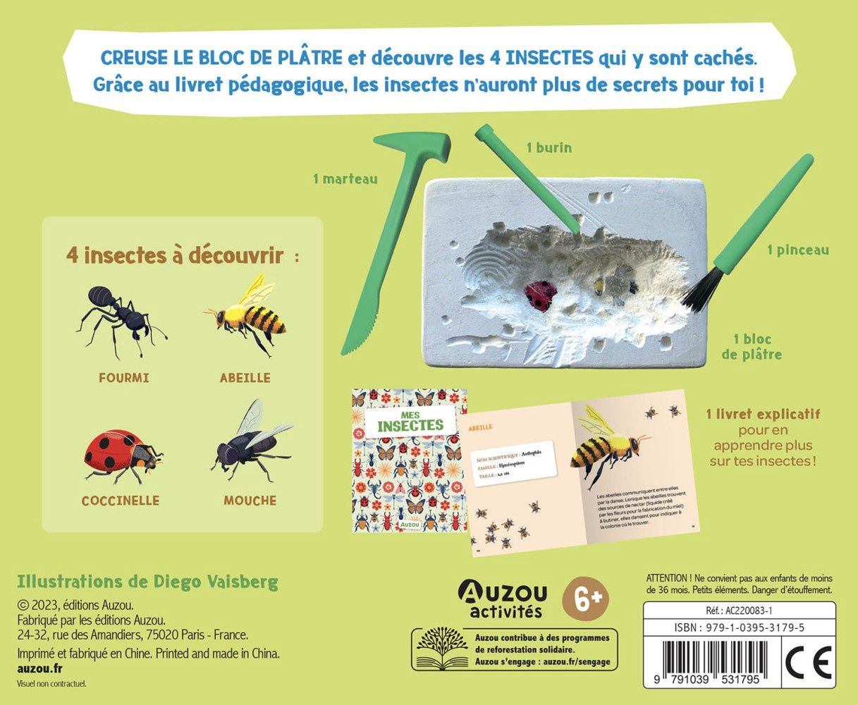 Mes insectes a déterrer