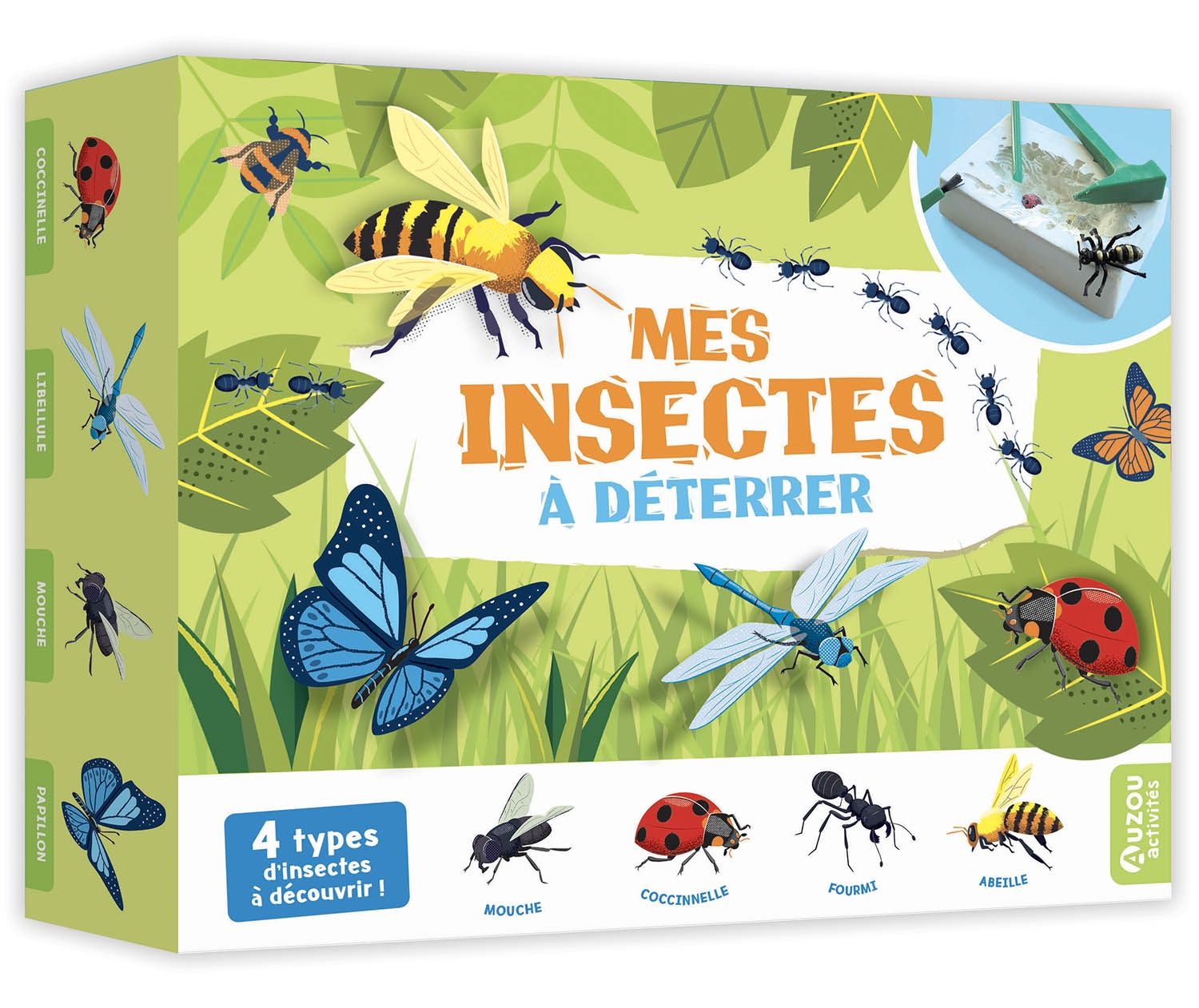 Mes insectes a déterrer