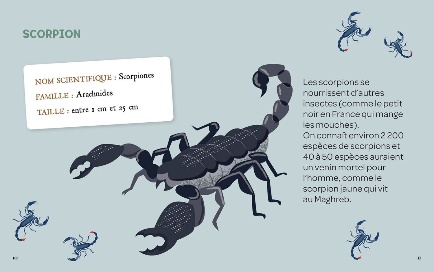 Mes insectes a déterrer