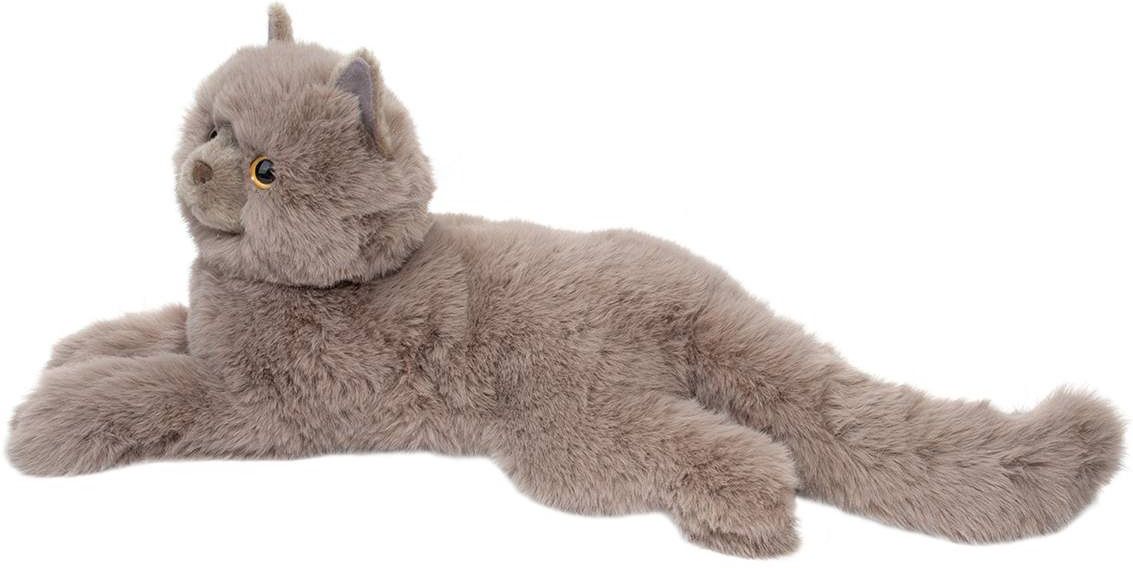 Chat Persan Juliette / Persian Cat