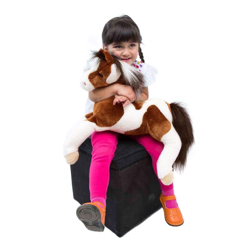 Cheval Natches Paint Horse