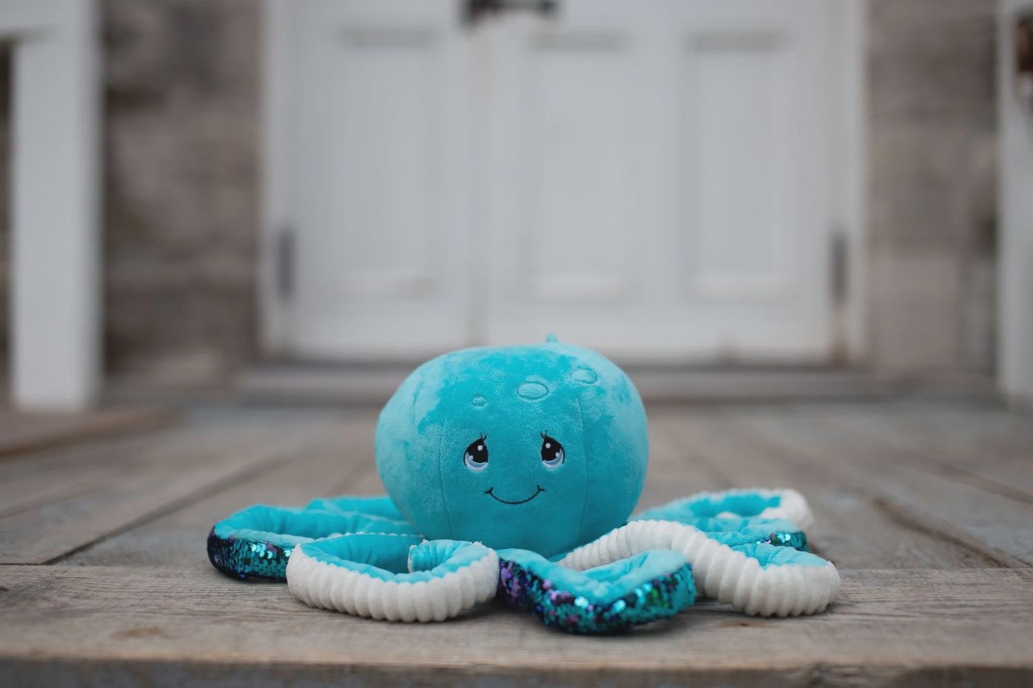 Peluche Lestée - Octa Blue (2 kg)