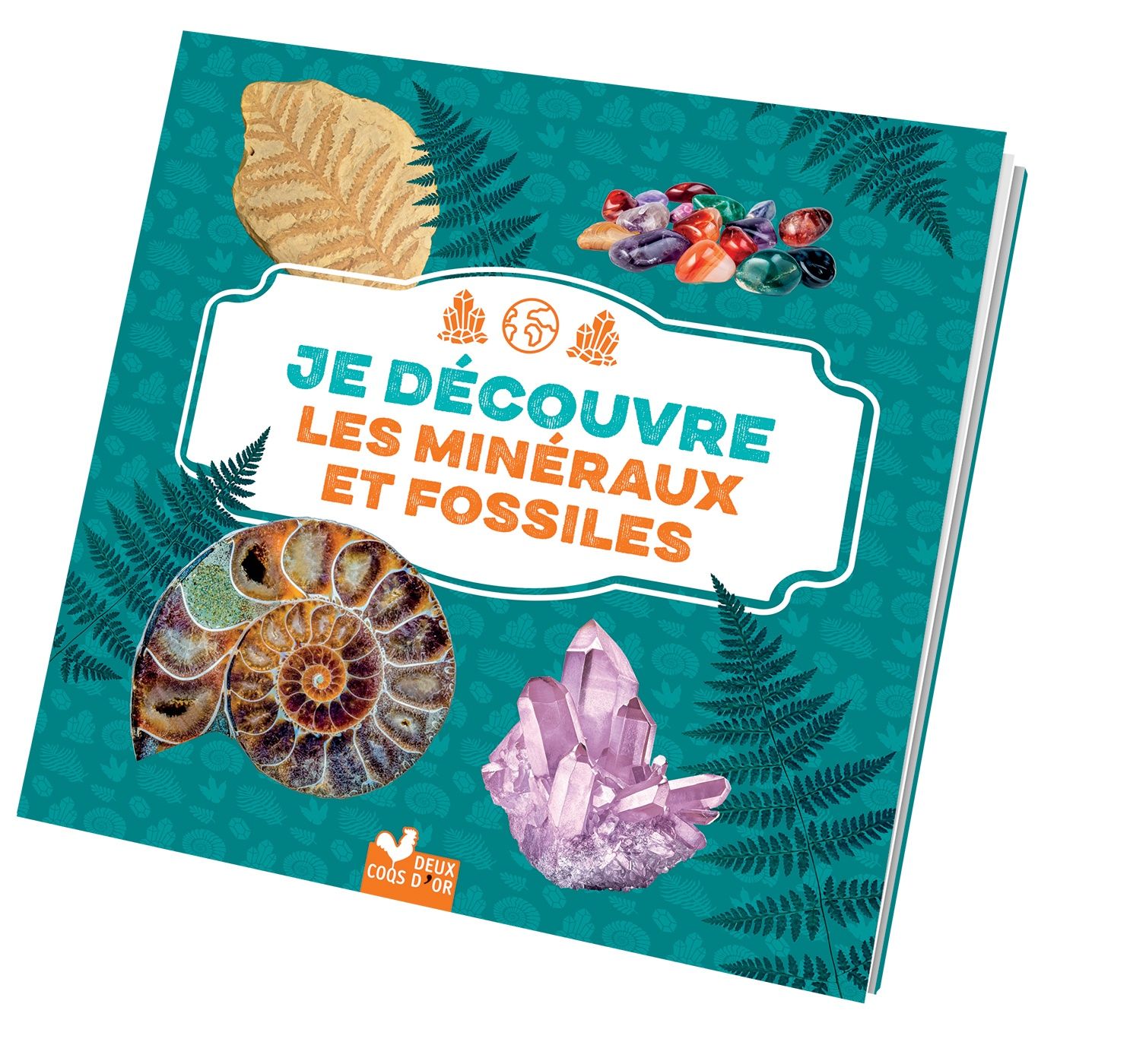 Je Découvre Les Minéraux Et Fossiles