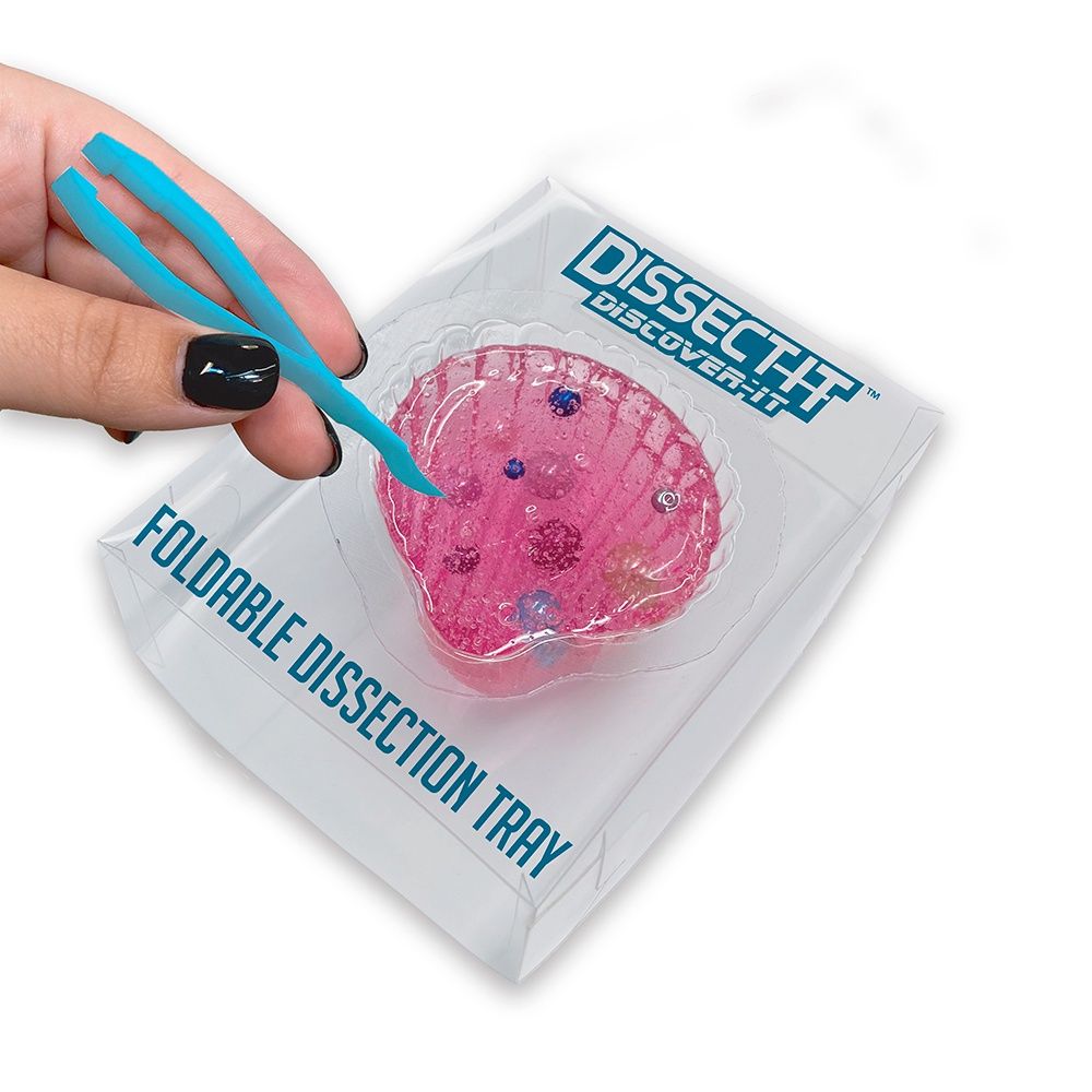 Dissect It - Discover