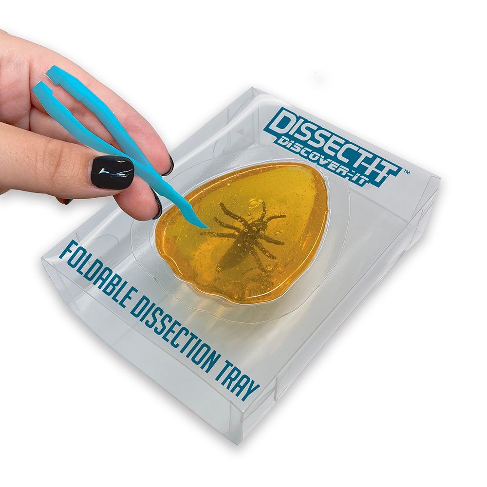 Dissect It - Discover