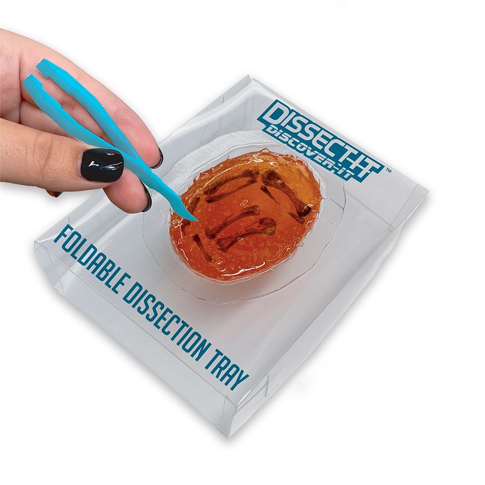 Dissect It - Discover