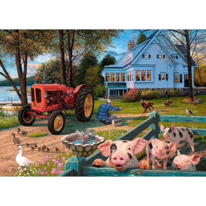 C.T. - Country Life (300 mcx - Larges pièces)