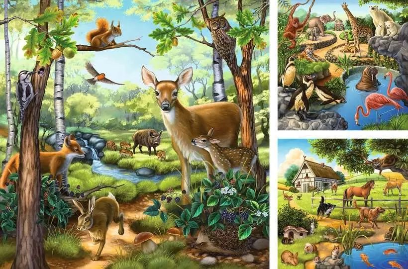 C.T. - Forêt / Zoo / Animaux domestiques (3 x 49 mcx)