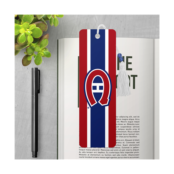Signets / Canadiens (Go habs go)