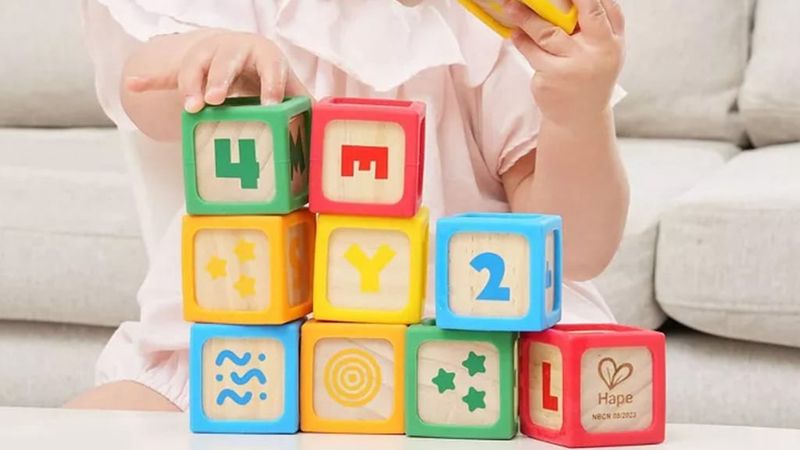 Hape / Blocs de bois et silicone