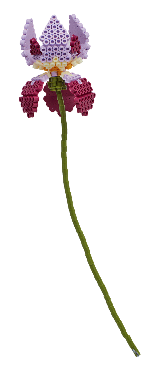 Bouquets de fleurs