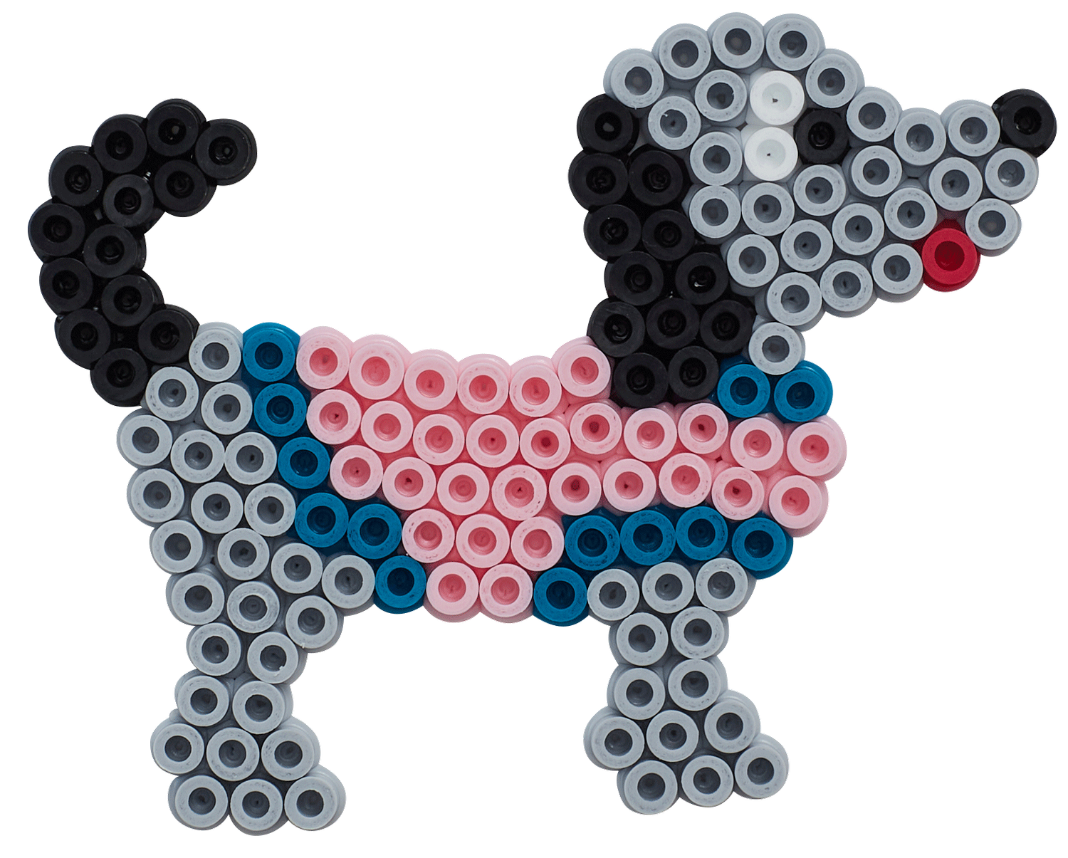Grand kit  (Chien, Dinosaures, Papillons)