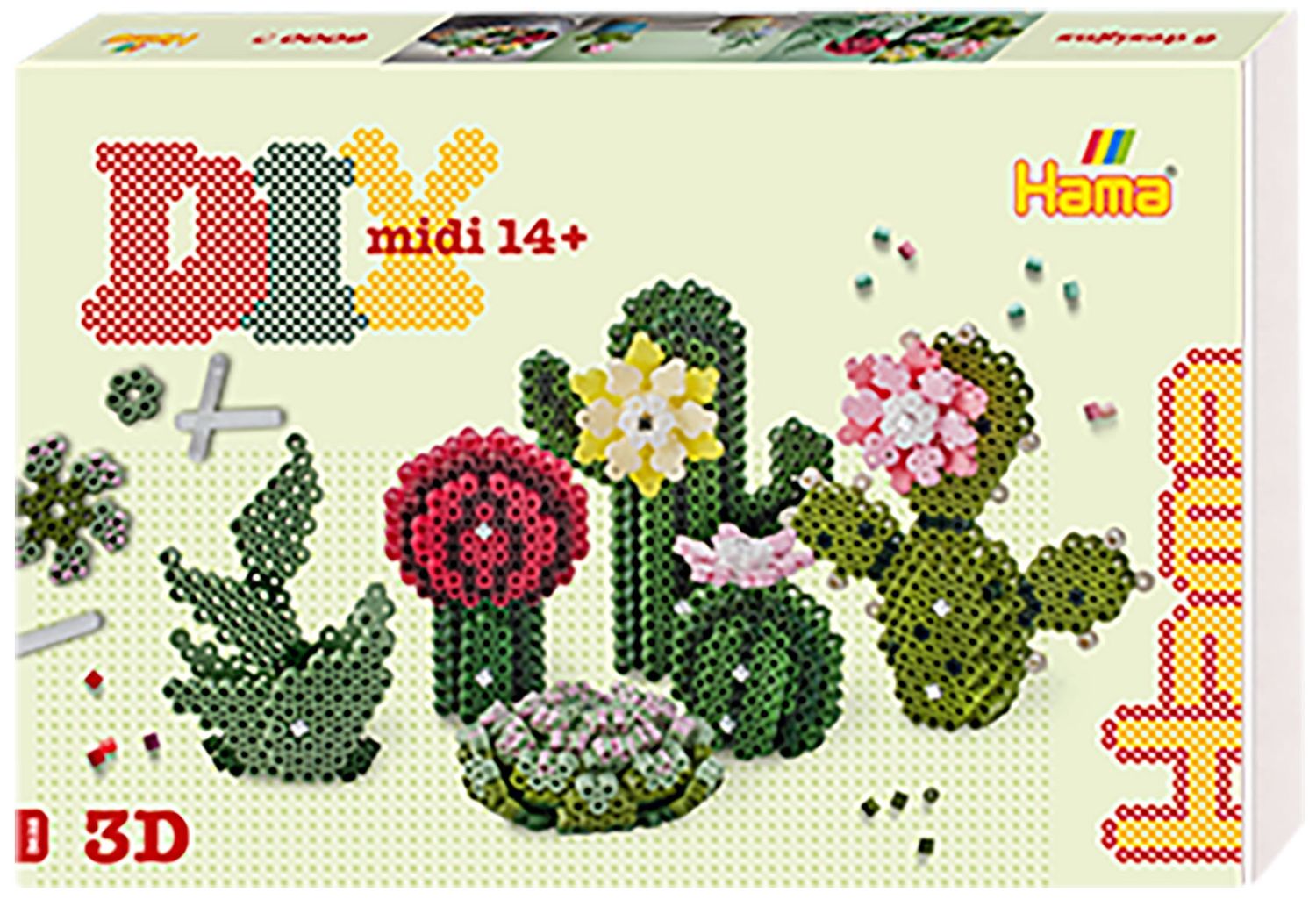 Succulentes