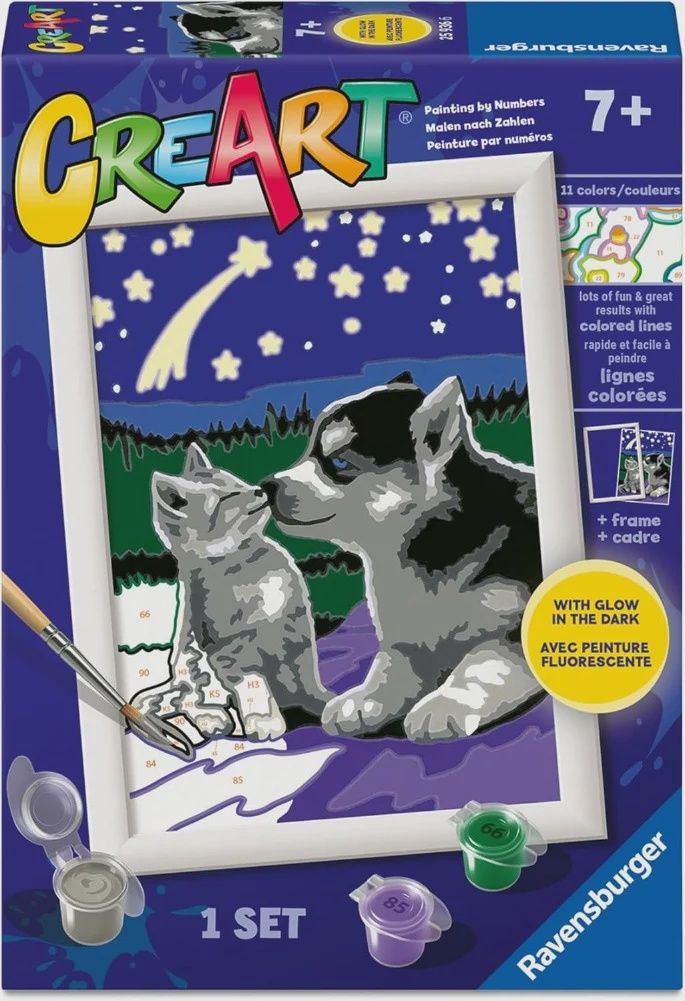 CREART - Peinture à numéros / Amis au clair de lune