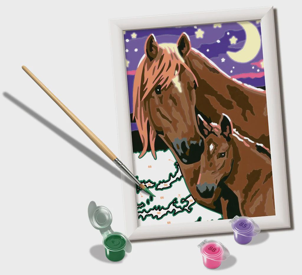 CREART - Peinture à numéros / Chevaux à minuit