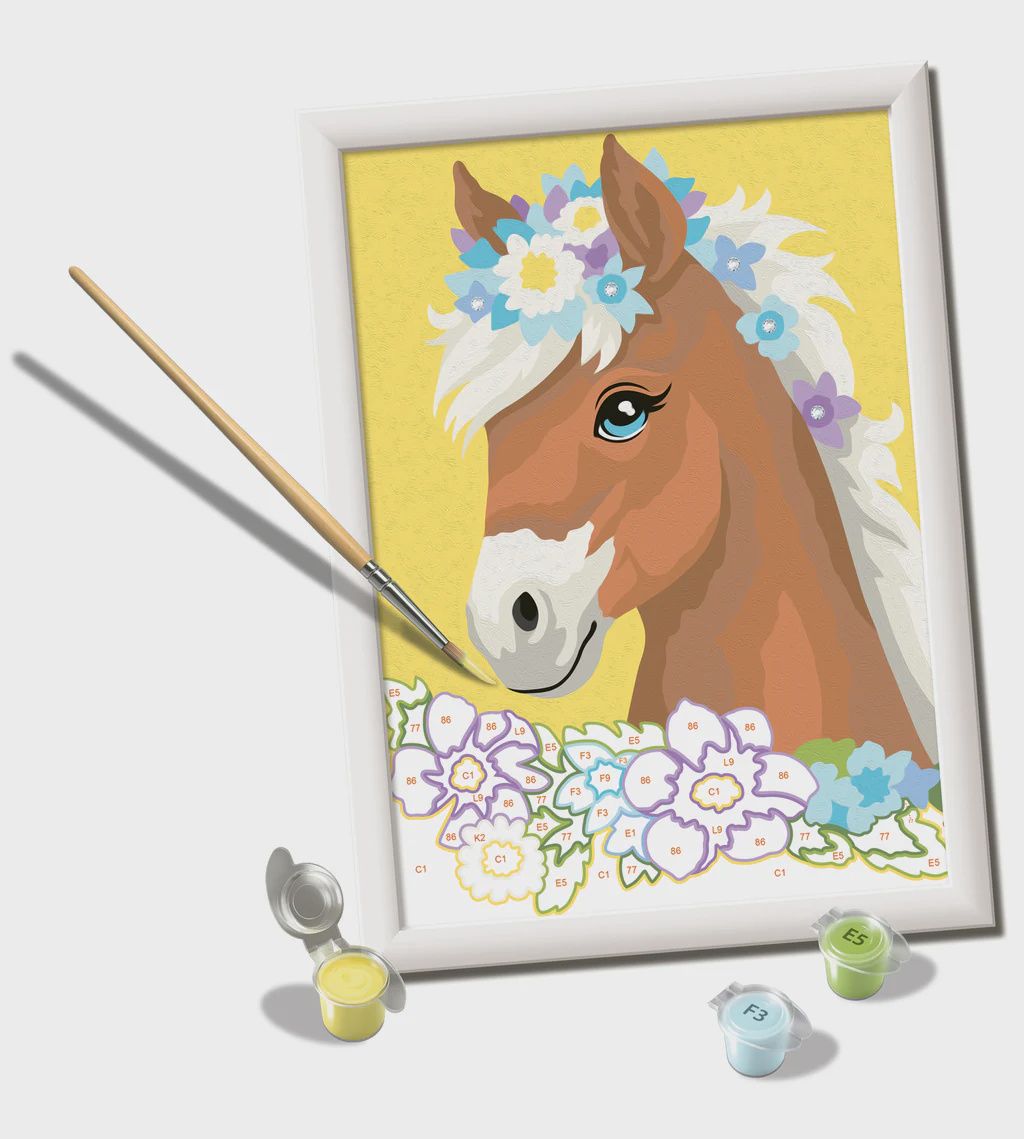 CREART - Peinture à numéros / Cheval avec fleurs