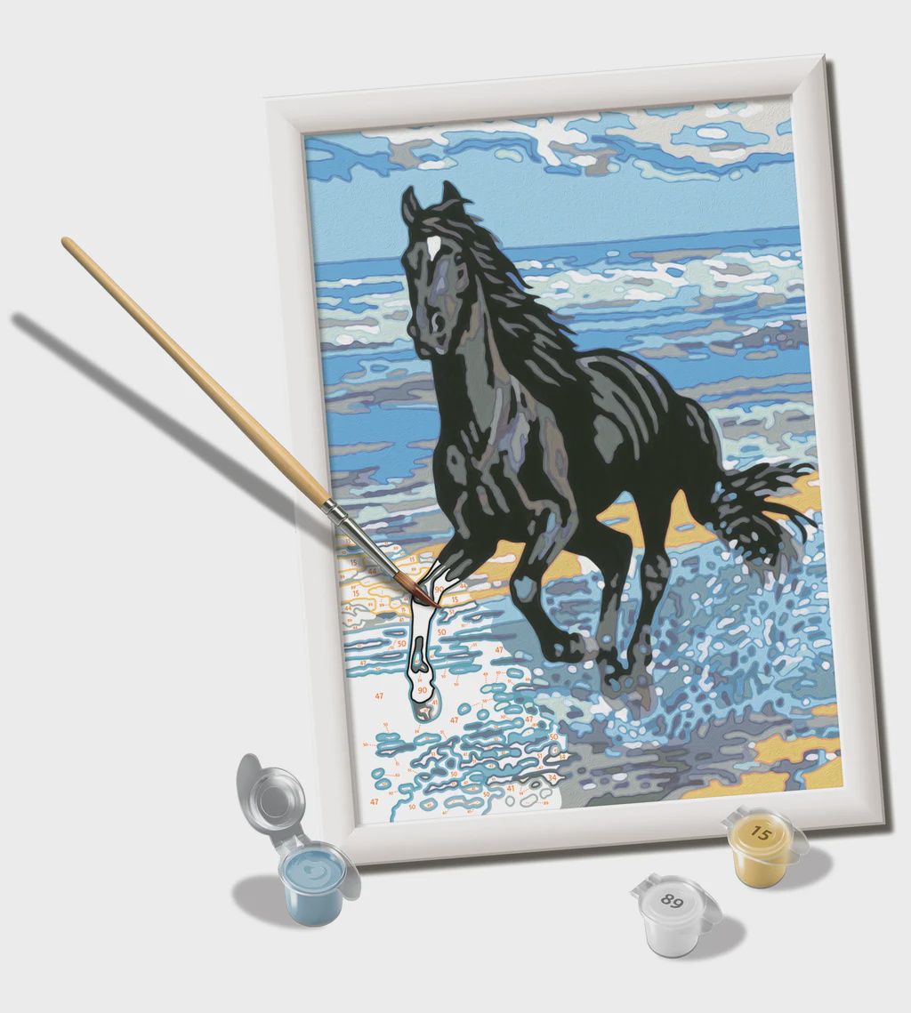 CREART - Peinture à numéros / Cheval de plage