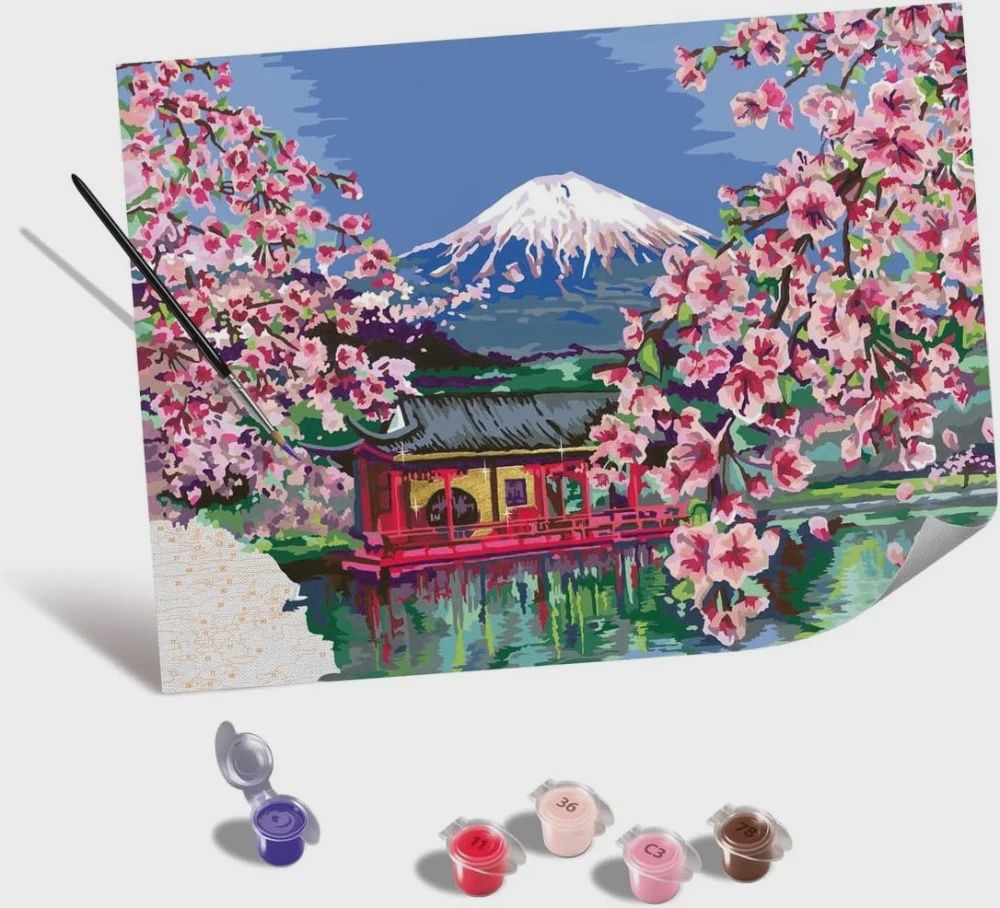 CREART - Peinture à numéros / Fleur de cerisier japonais