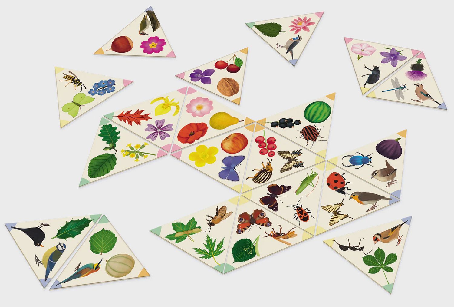 Tridomino du jardin