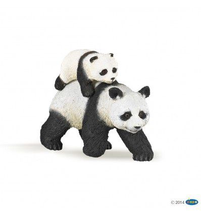 Panda Et Son Bébé