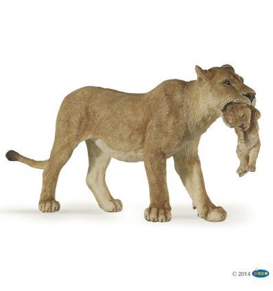 Lionne Avec Lionceau