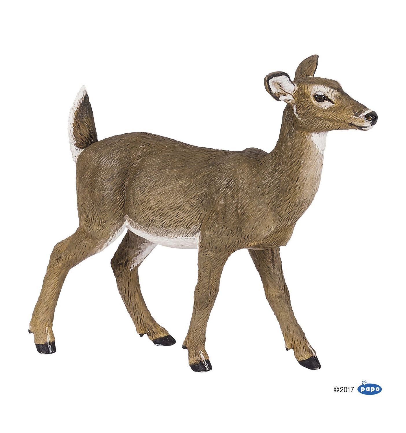 Biche de Virginie