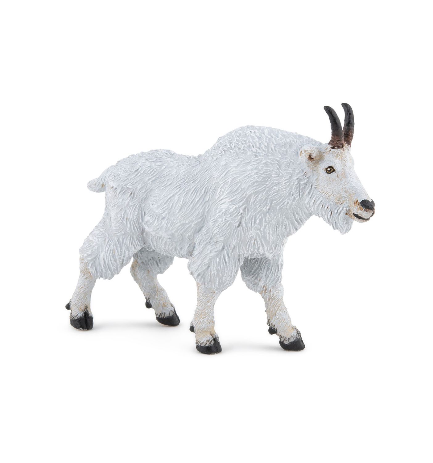 Chèvre du Canada