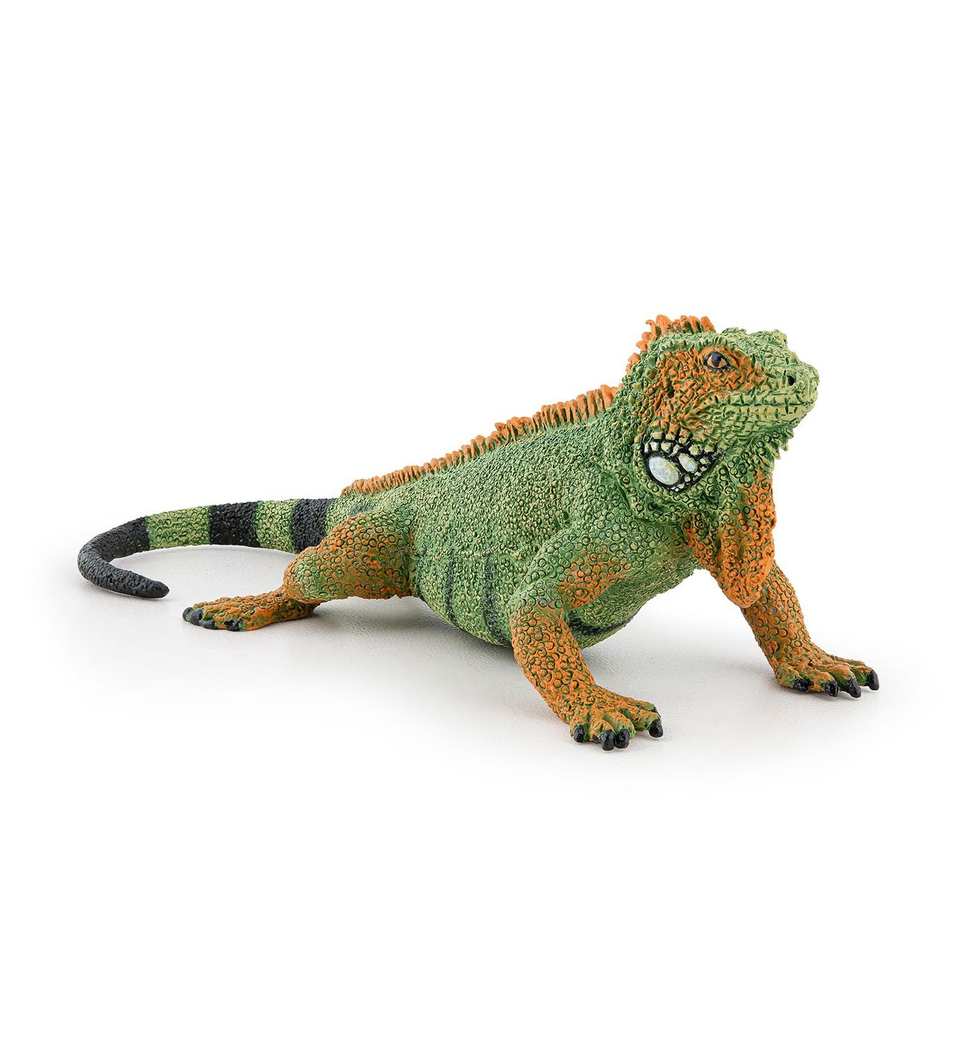 Iguane