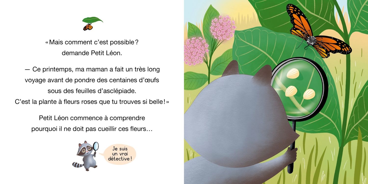 Petit léon et le papillon monarque