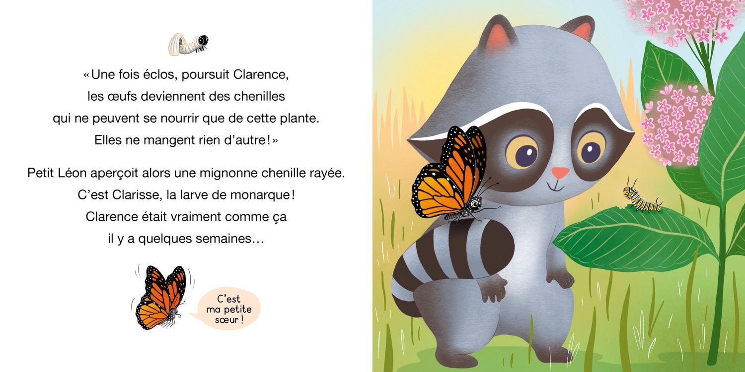 Petit léon et le papillon monarque