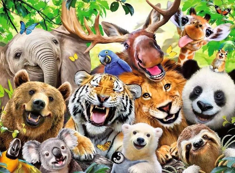 C.T. - Animaux exotiques (300 mcx - XXL)