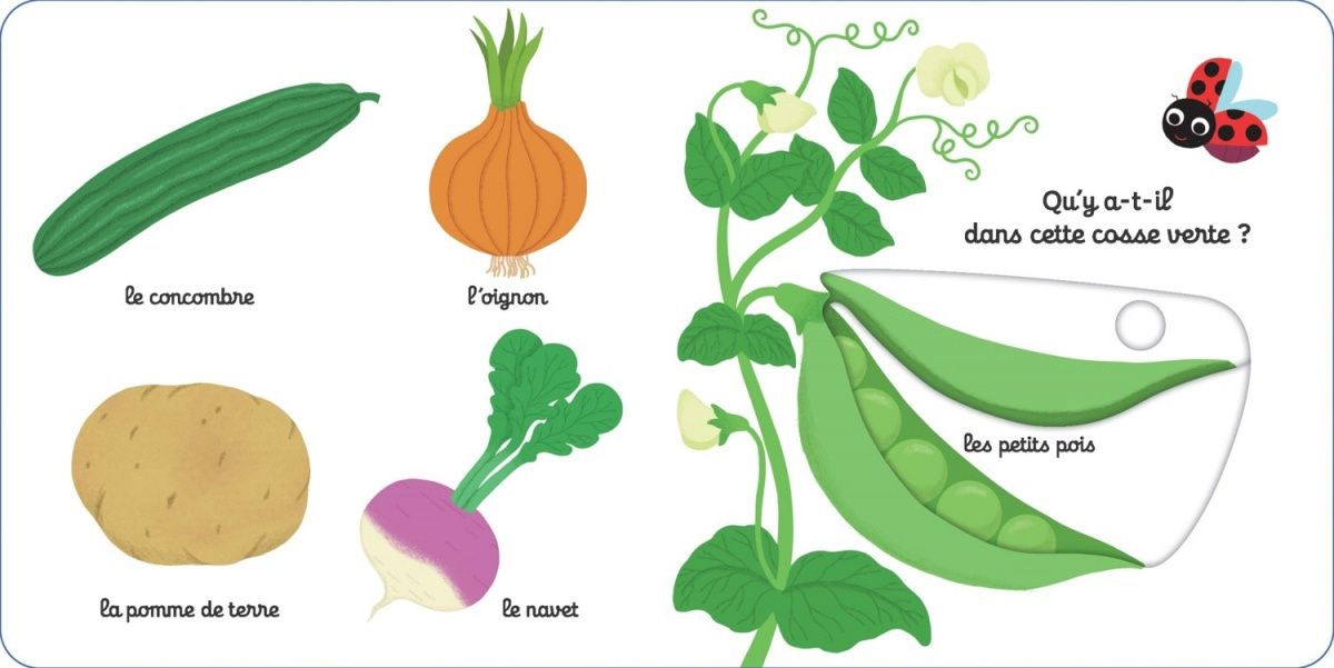 Mon imagier animé - Kididoc / Les légumes