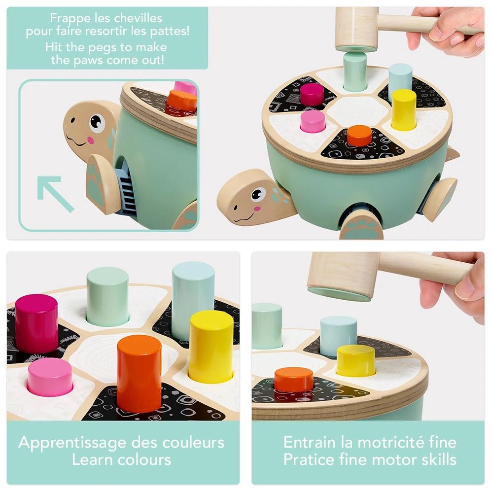 Tape-Tape Tortue *23