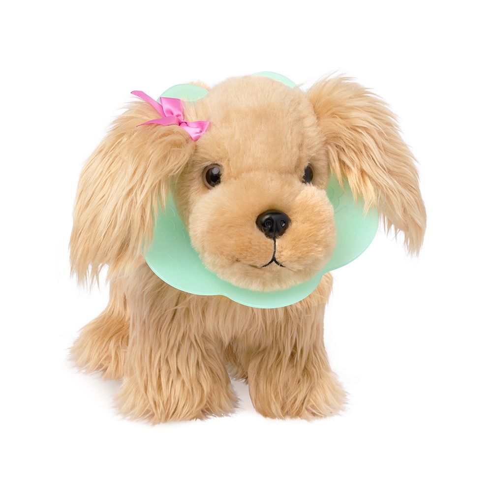 Pucci Pups - Epagneul ensemble vétérinaire
