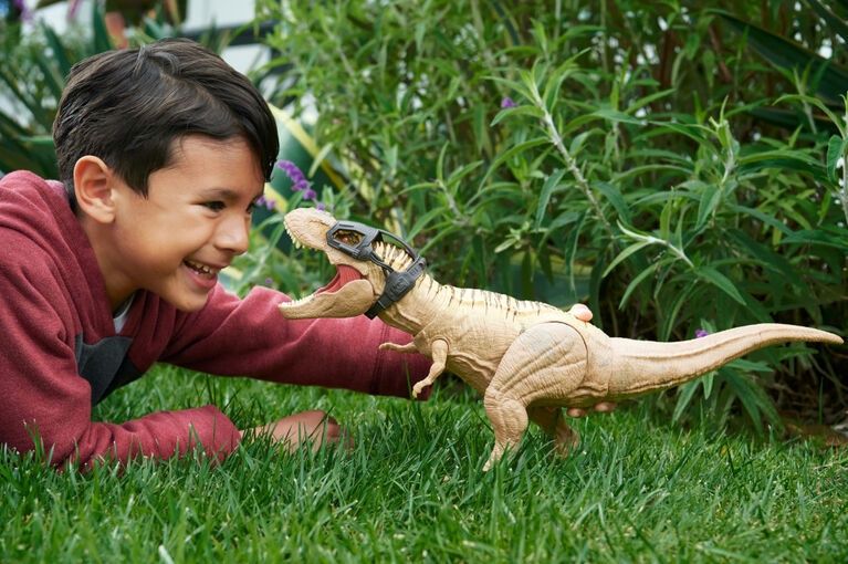 Jurassic Dinosaure Tyrannosaurus Rex