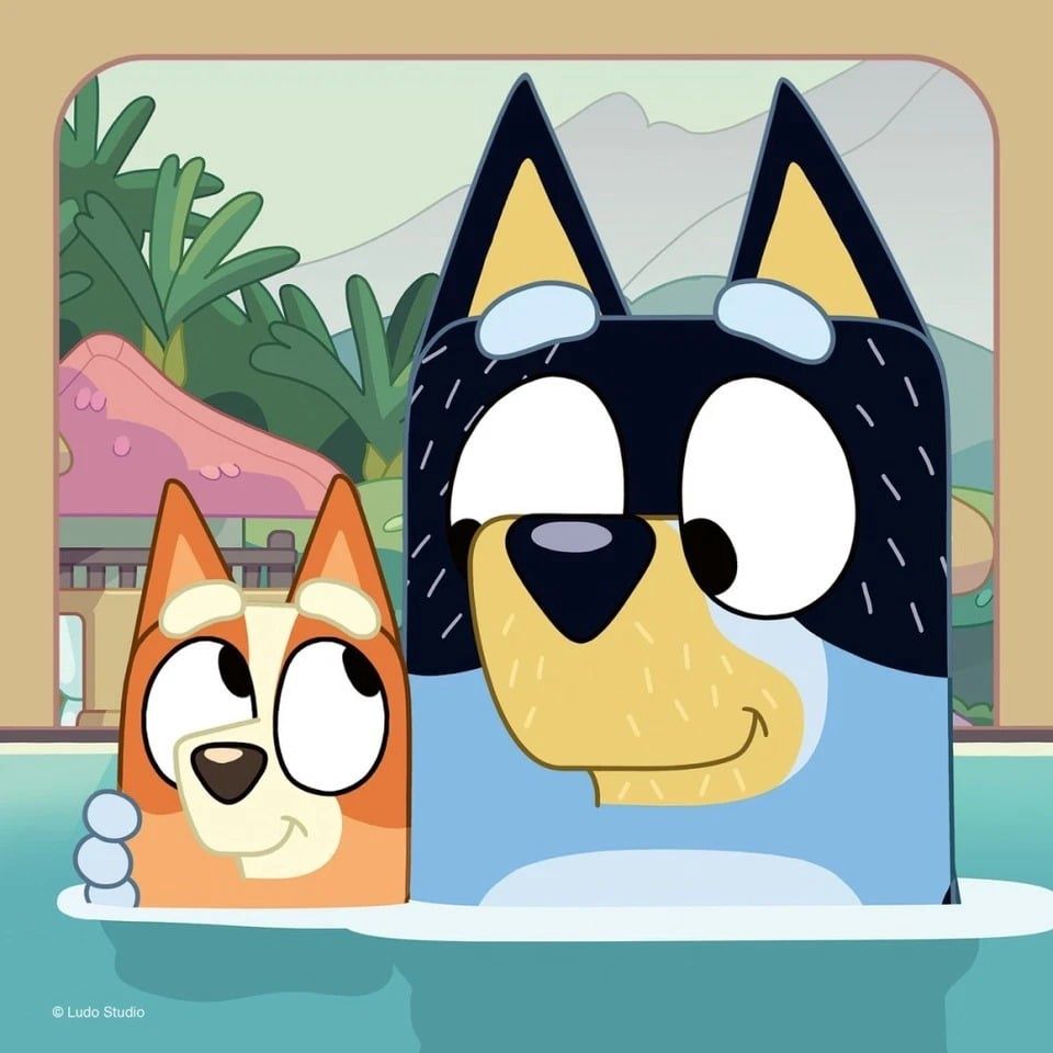 C.T. - Les Aventures de Bluey (3X49 mcx)