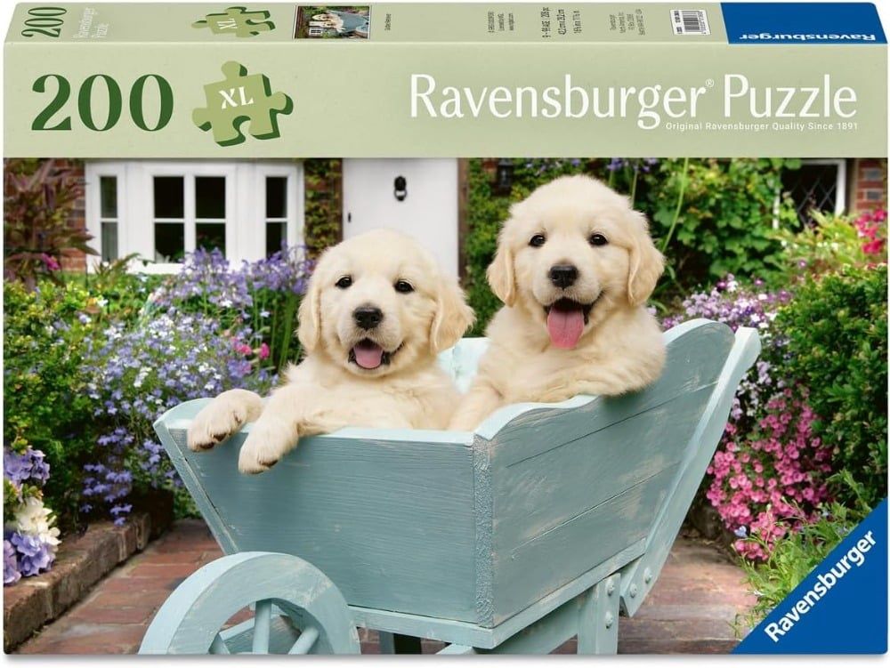 C.T. - Golden Retriever (200 mcx - XL)