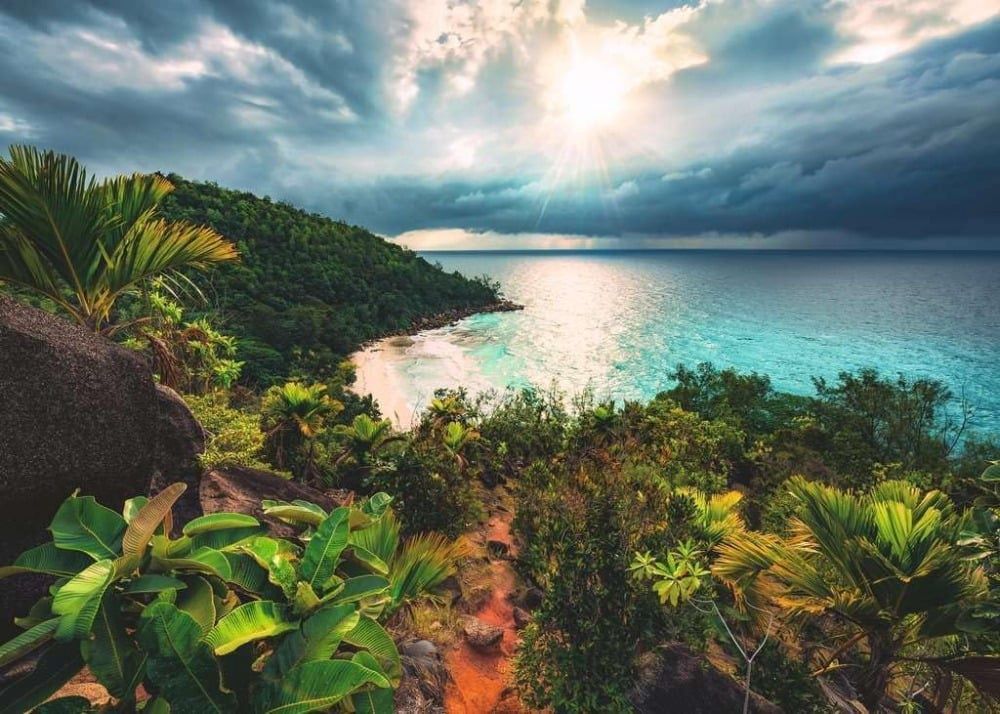 C.T. - Beautiful Islands / Hawaii (1000 mcx)