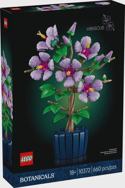 10372 / L’hibiscus