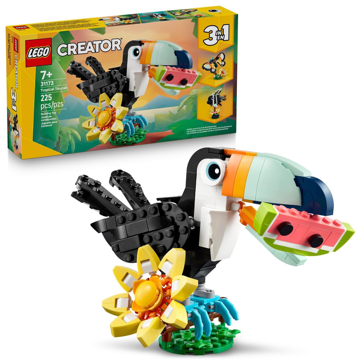 31173 / Animaux sauvages : Le Toucan tropical