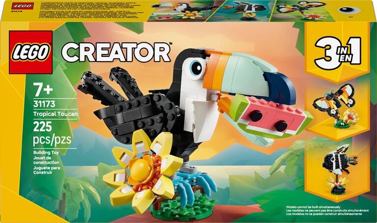 31173 / Animaux sauvages : Le Toucan tropical