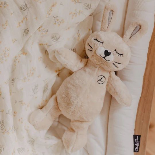 Toutou Latte Musical