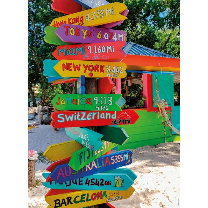 C.T. - La croisée des chemins (500 mcx)