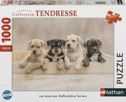 C.T. - Les American Staffordshire Terriers (1000 mcx)