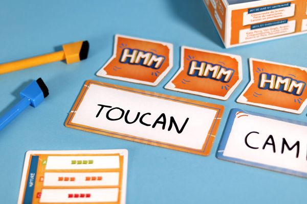 Casque Chèque Chat (Fr)