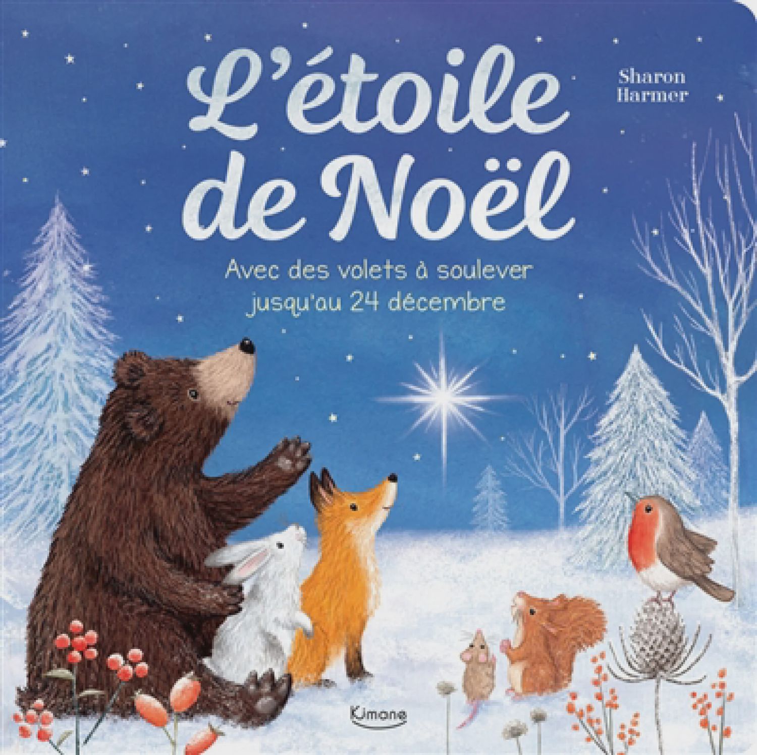 L&#39;étoile de Noël : avec des volets à soulever jusqu&#39;au 24 décembre