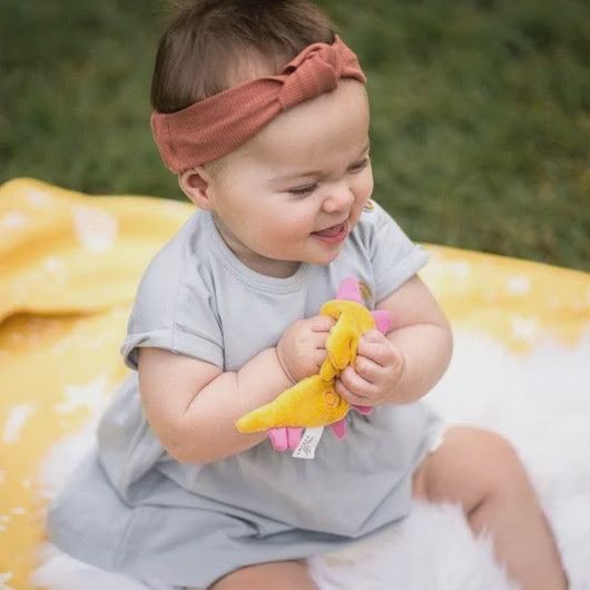 Scrunchies / Dinosaure